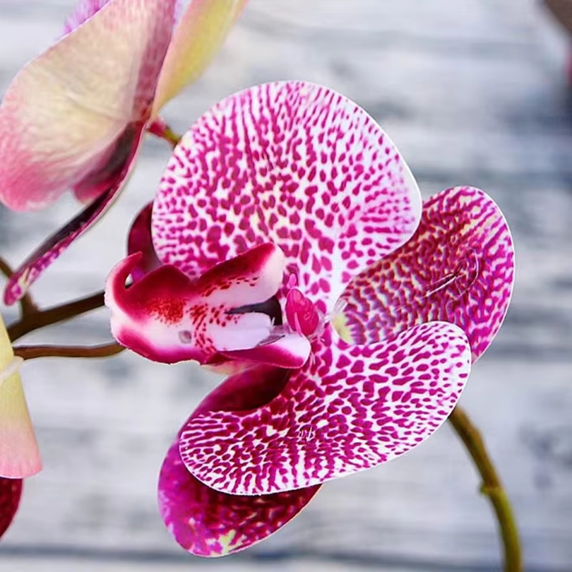 Flores artificiales 3D, maripo - Wedding Arch Flower reseña y precio
