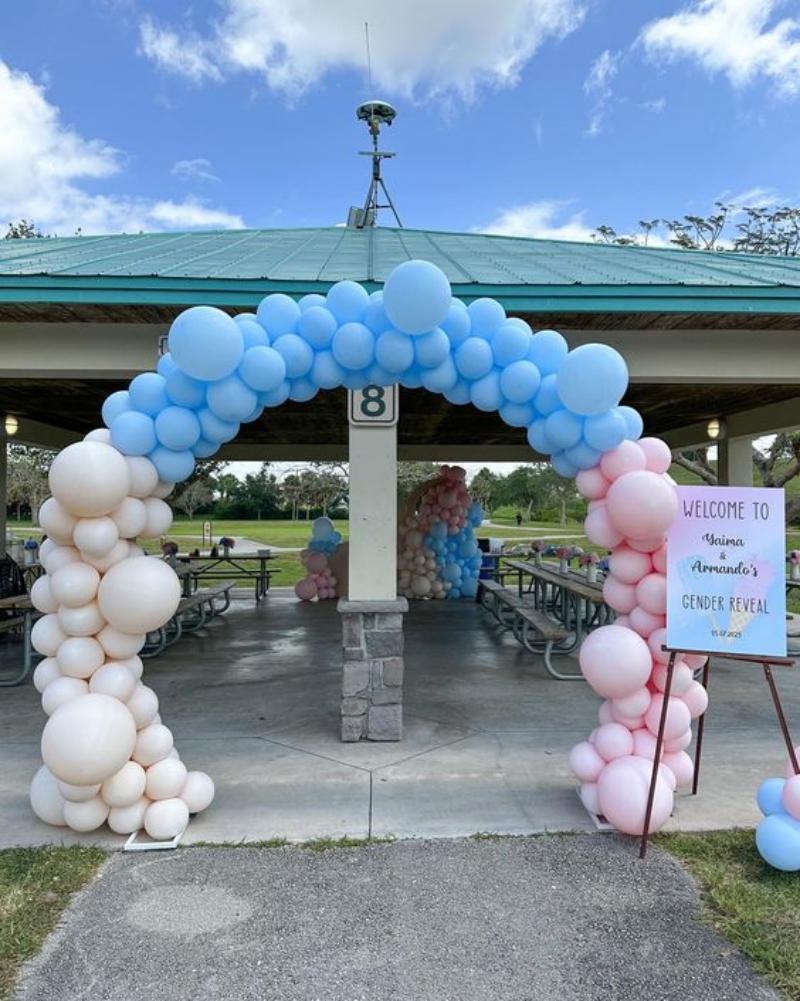 Soporte de arco de globos gran - Wedding Day Supply Kit reseña y precio